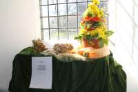Flower Festival